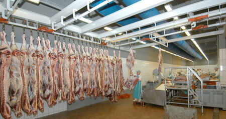 Дезинсекция на мясокомбинате в Красноармейске, цены на услуги
