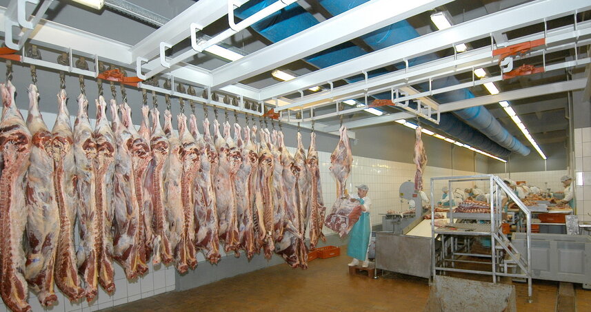 Дезинсекция на мясокомбинате в Красноармейске, цены на услуги